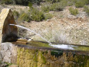 Fuente del Cortijo de Alfredo (10)