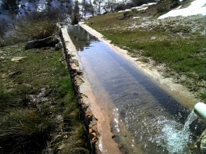 Fuente del Pino de los Muchachos (1)