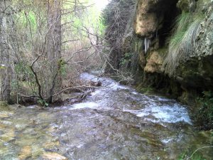 Rio de la Fuente del Roble (7)