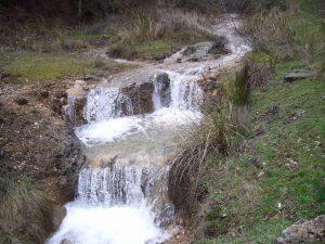 Río de las Acequias (9)